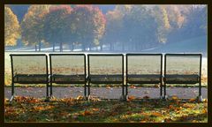 Bench in Westpark