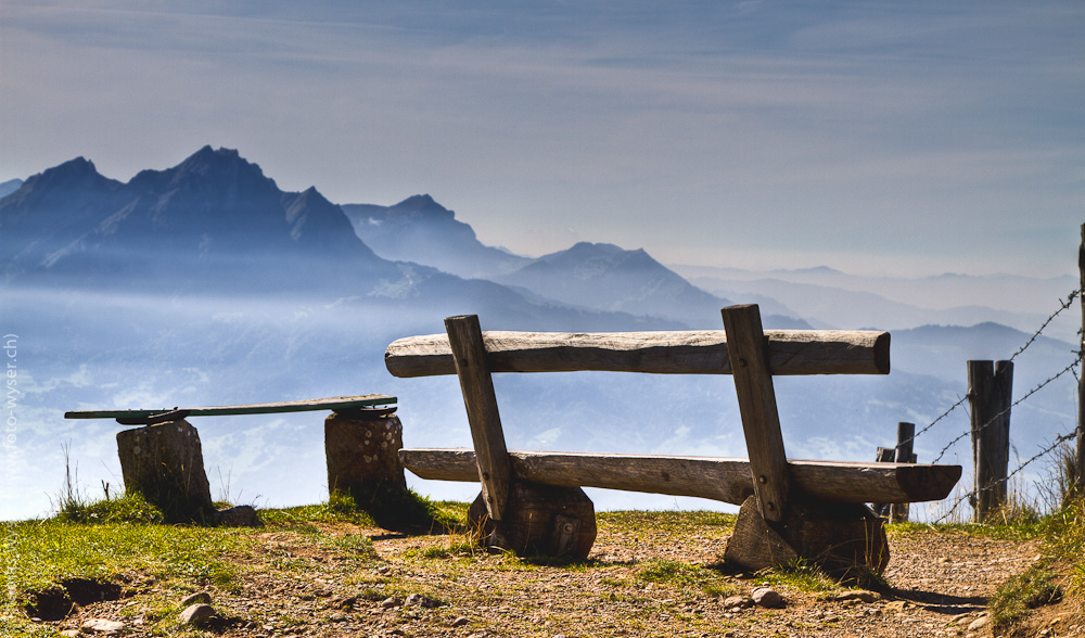 Bench with a view