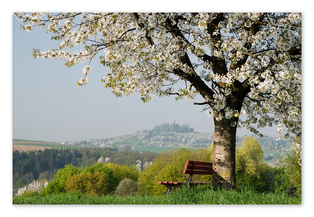 bench with a view