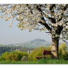 bench with a view