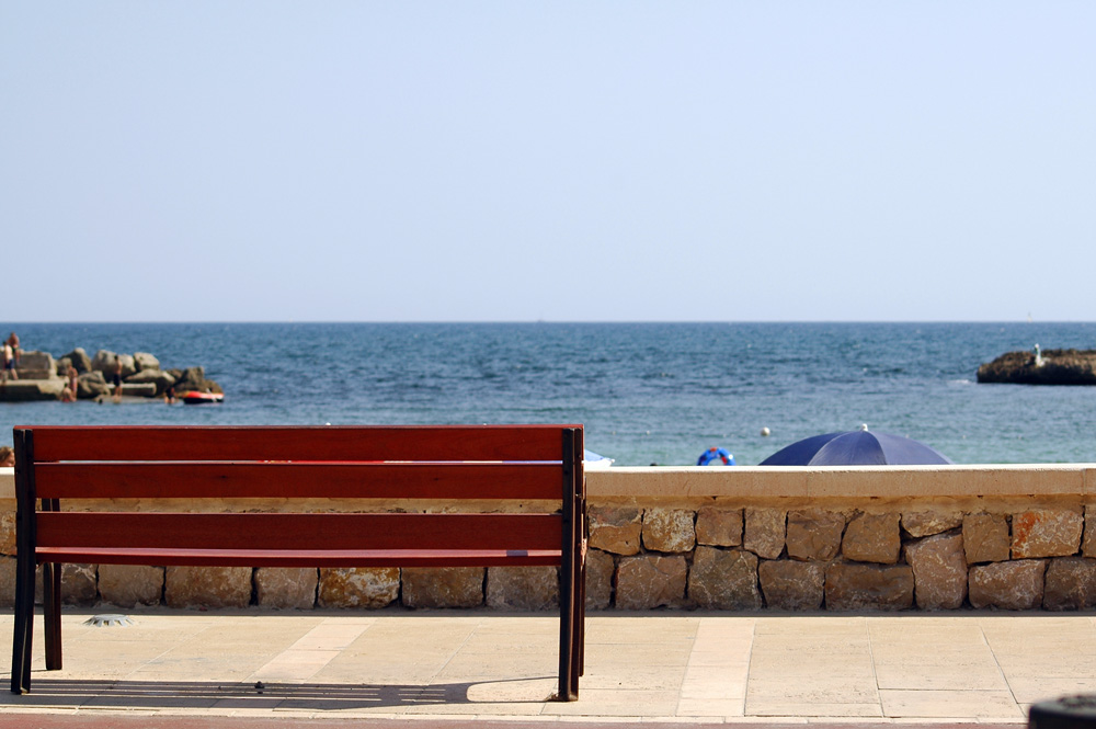 Bench with a view