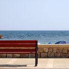 Bench with a view