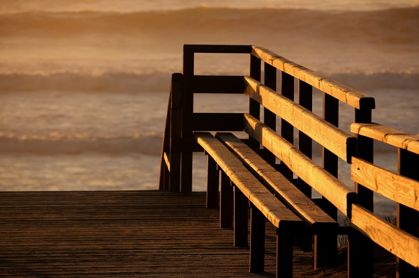 Bench with a View