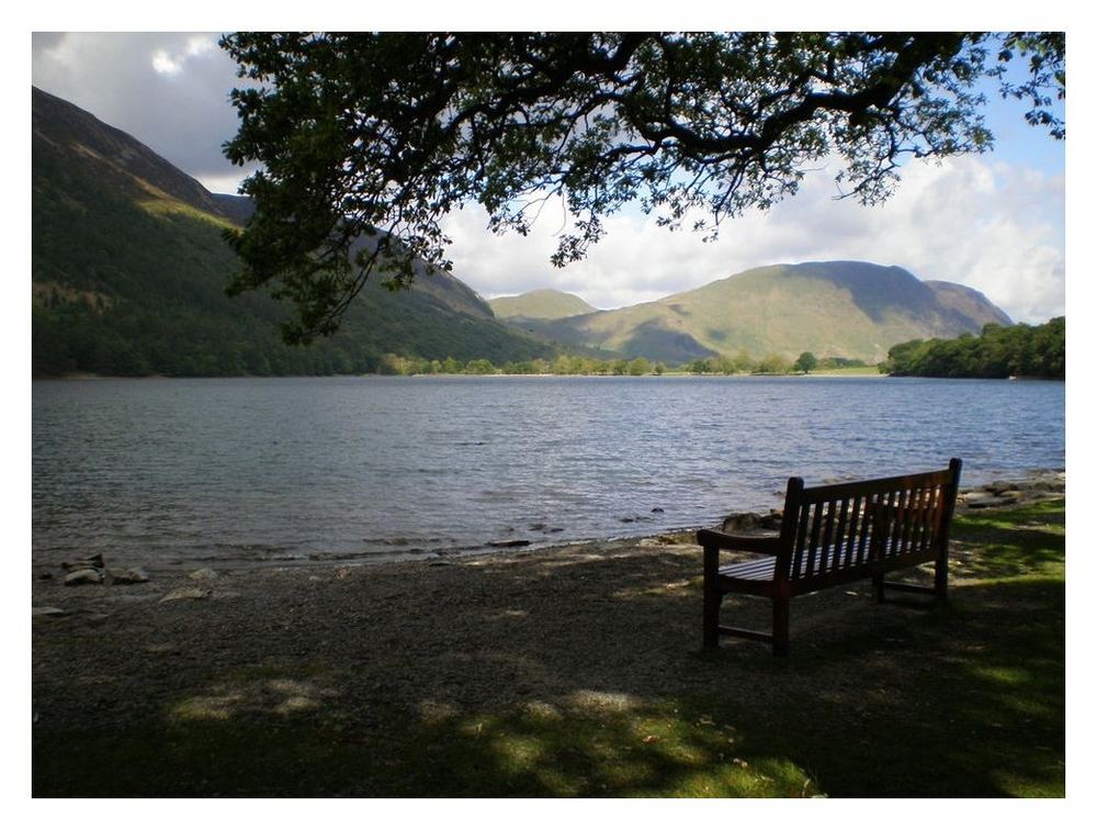 bench with a view