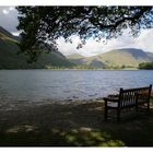 bench with a view