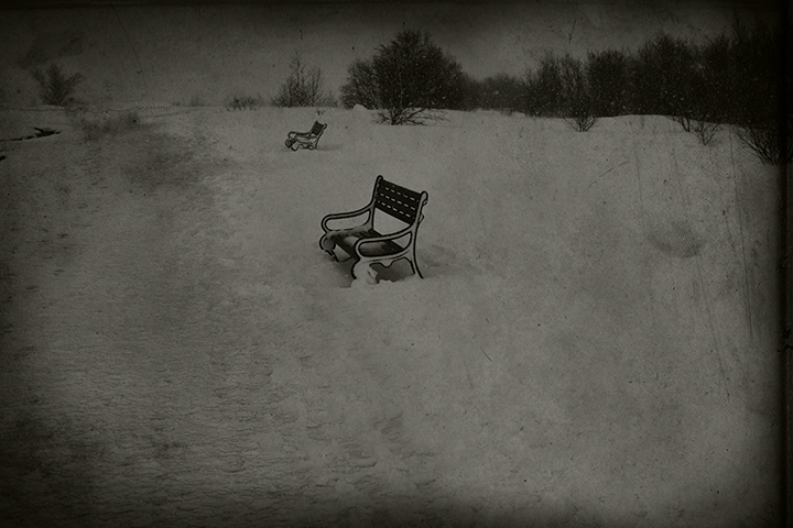 Benches Along a Path