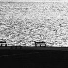 benches in front of the sea