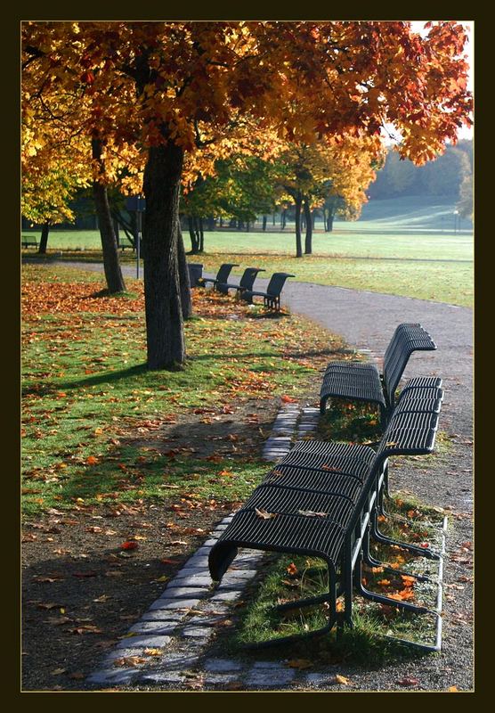 Benches in Westpark