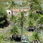 Benchijigua-Tal auf La Gomera