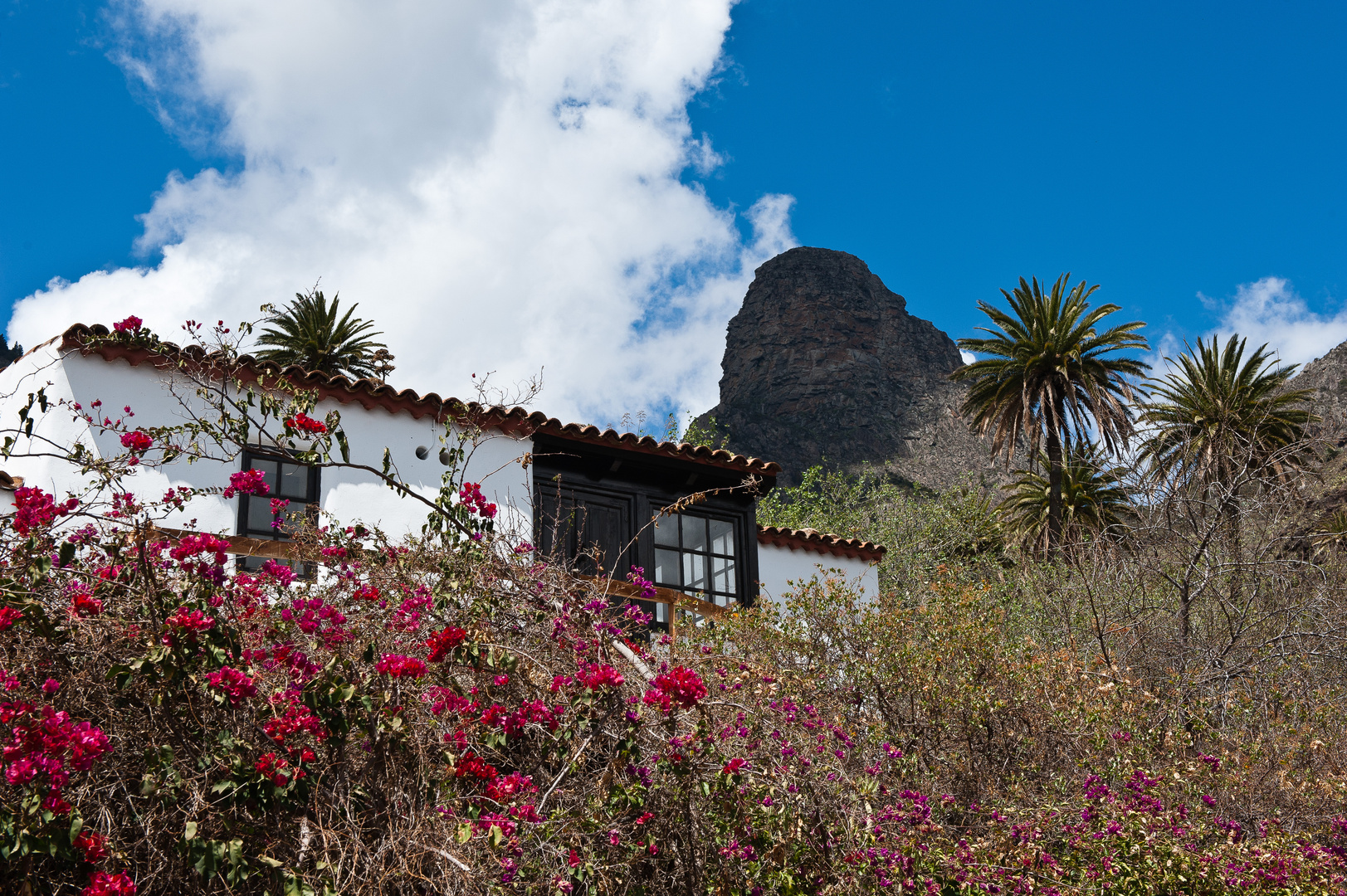 Benchijiua - Casa Olsen