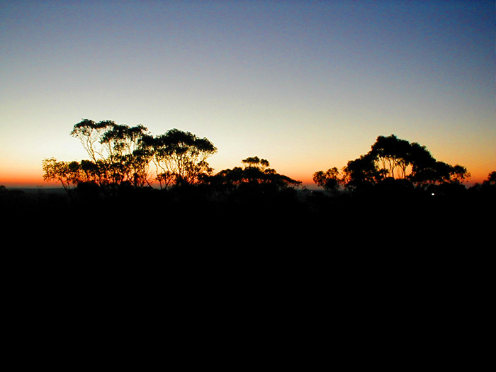 Bendigo sunset