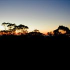 Bendigo sunset