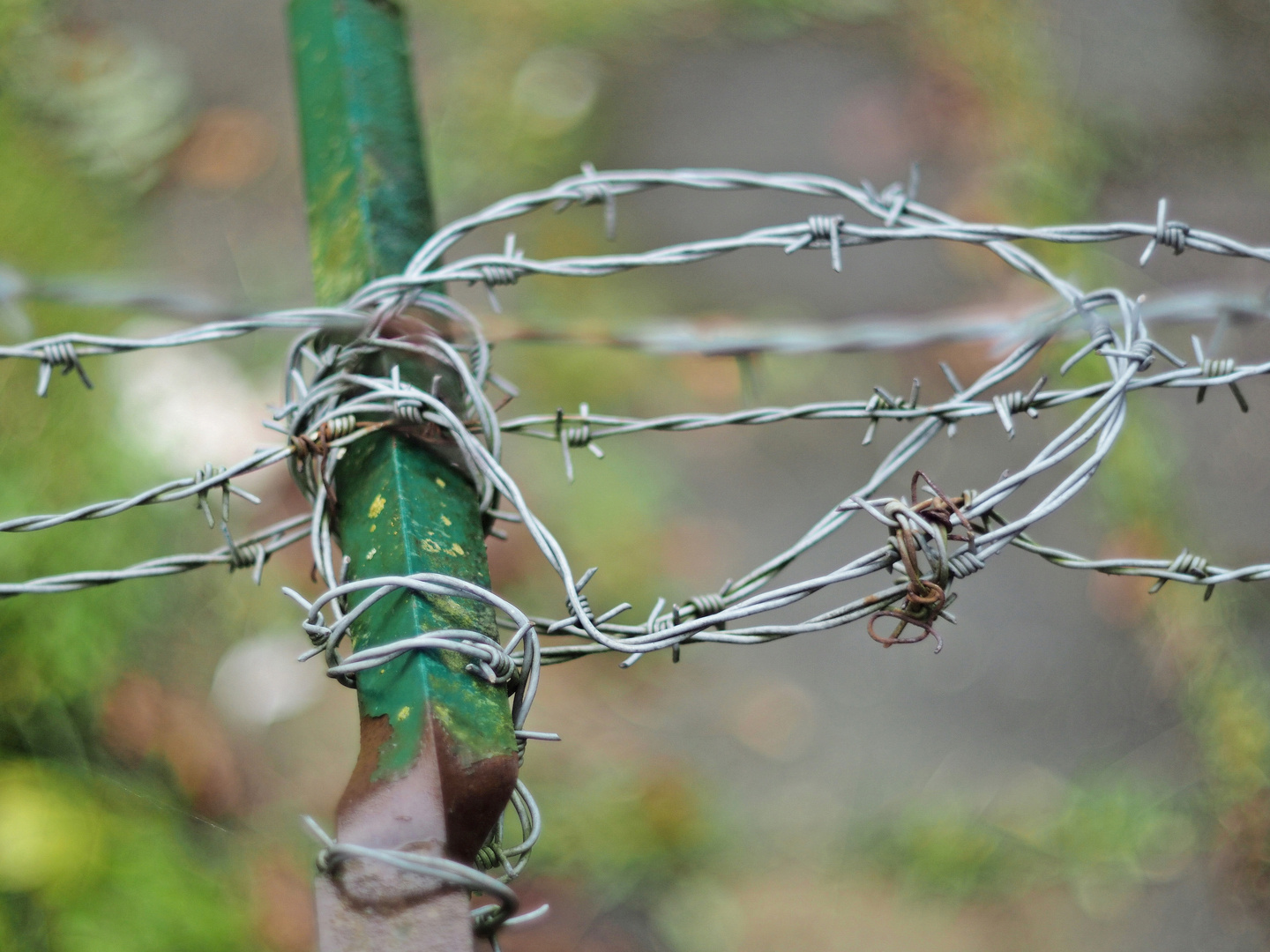 bending my wire wildly