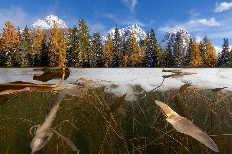 Beneath the Ice