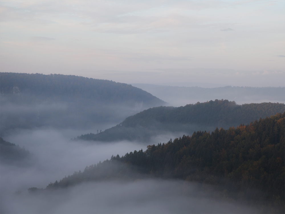 Benebelte Aussicht!