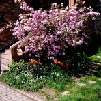 Benedektinerinnen-Abtei St, Hildegard Eibingen-Rüdesheim.