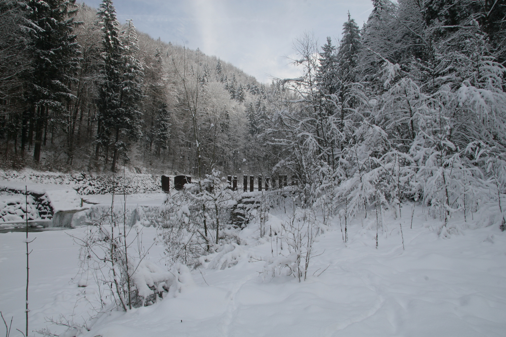 Benediktbeuern-Lainbachtal am Treibholzrechen