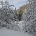 Benediktbeuern Lainbachtal Winterspaziergang