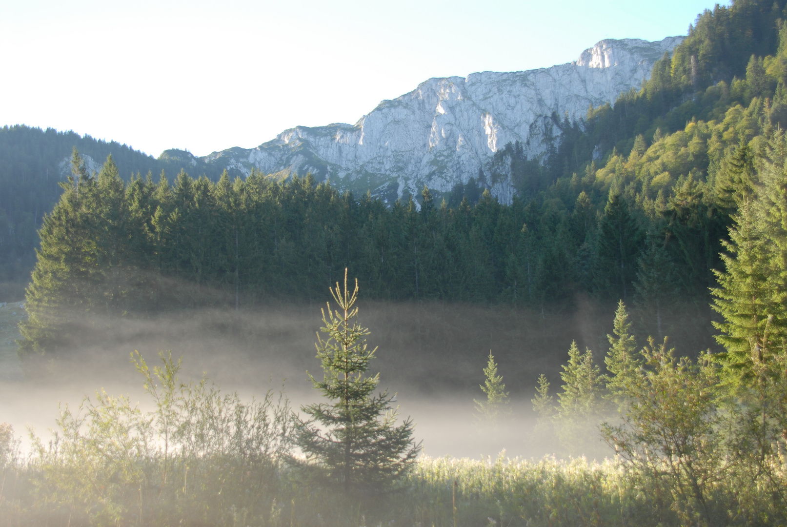 Benediktenwand