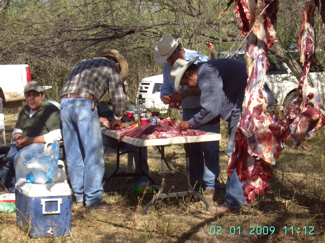 beneficiando la carne