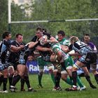 Benetton Rugby - Glasgow Warriors