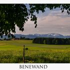 Benewand