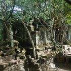 Beng Mealea 3