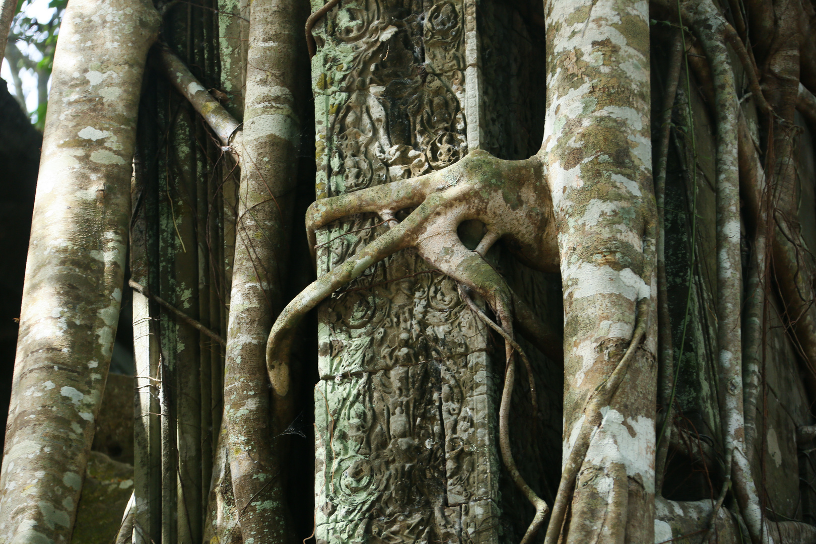 Beng Mealea 6