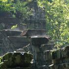 Beng Mealea Temple in the Dschungle