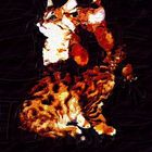 Bengal Kitten Digital Painting