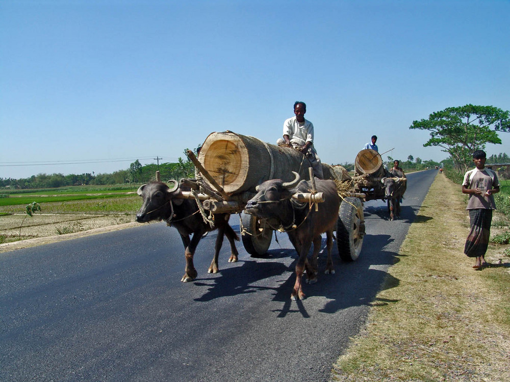 Bengalischer Schwerlastverkehr auf der Autobahn
