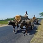 Bengalischer Schwerlastverkehr auf der Autobahn