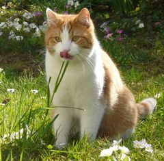 Beni - Frühlingsgefühle :-)