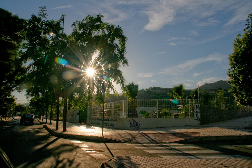 benicassim sunshine