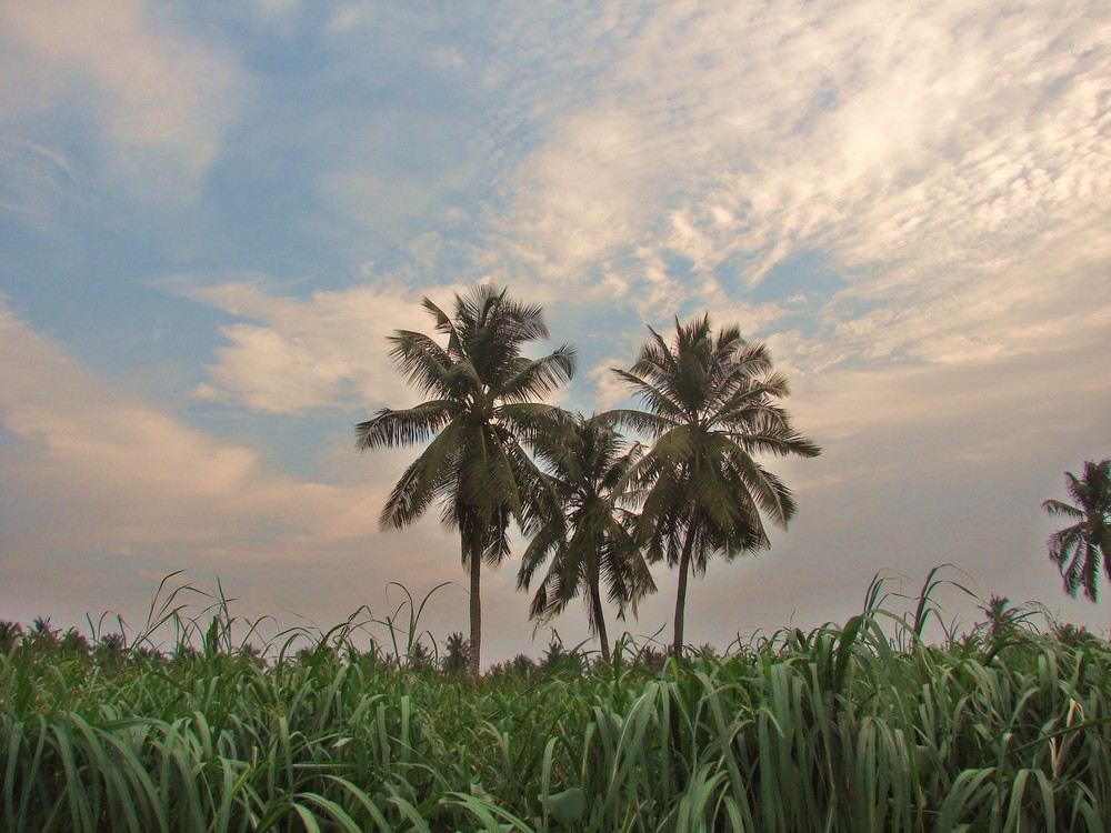 Bénin