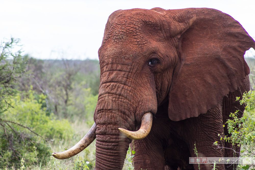 Benjamin in seinem Wohnzimmer Foto & Bild | africa, eastern africa