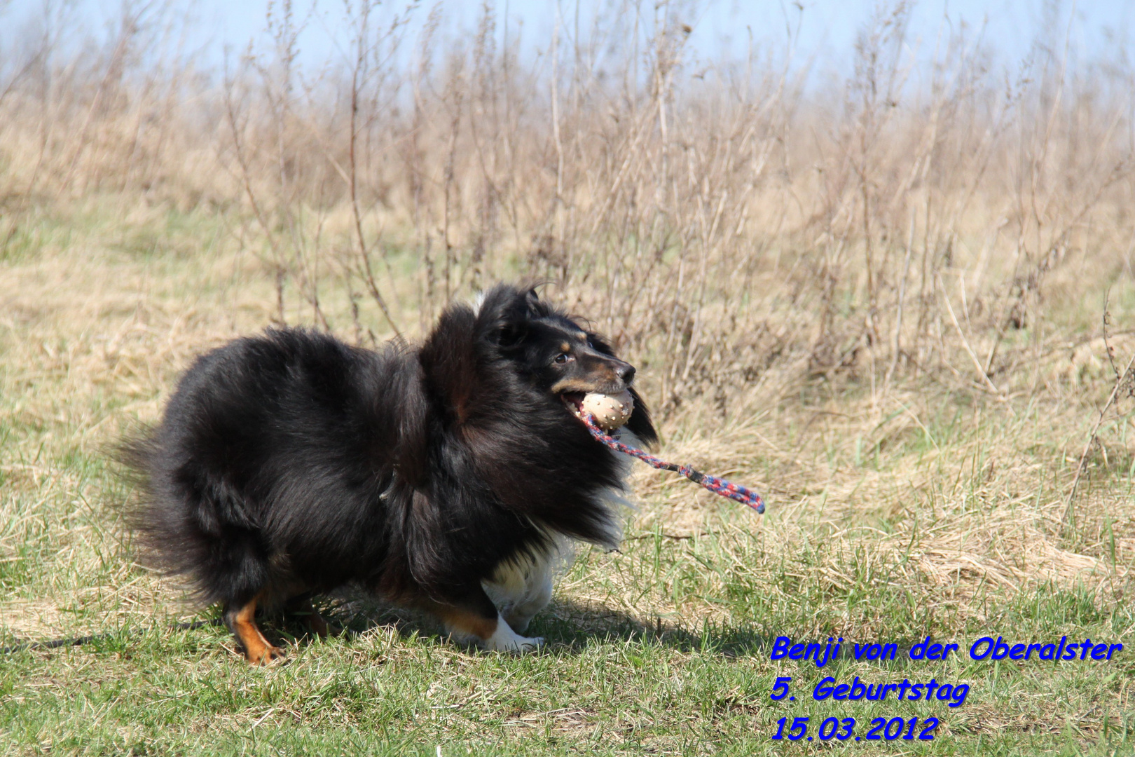 Benji 5. Geburtstag 15.03.2012