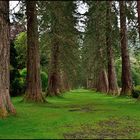 Benmore Gardens