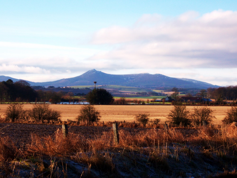 Bennachie