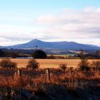 Bennachie