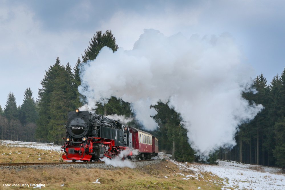 Benneckensteiner Wiesen