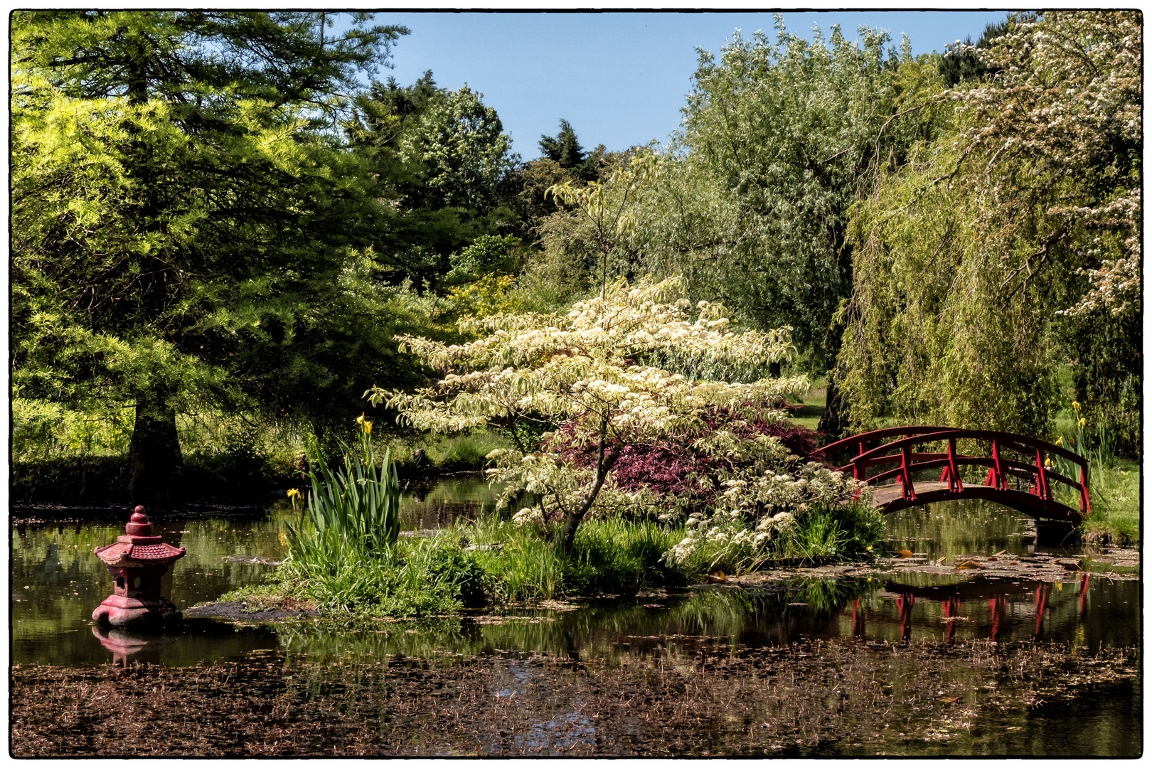 Bennetts Water Gardens