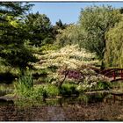 Bennetts Water Gardens