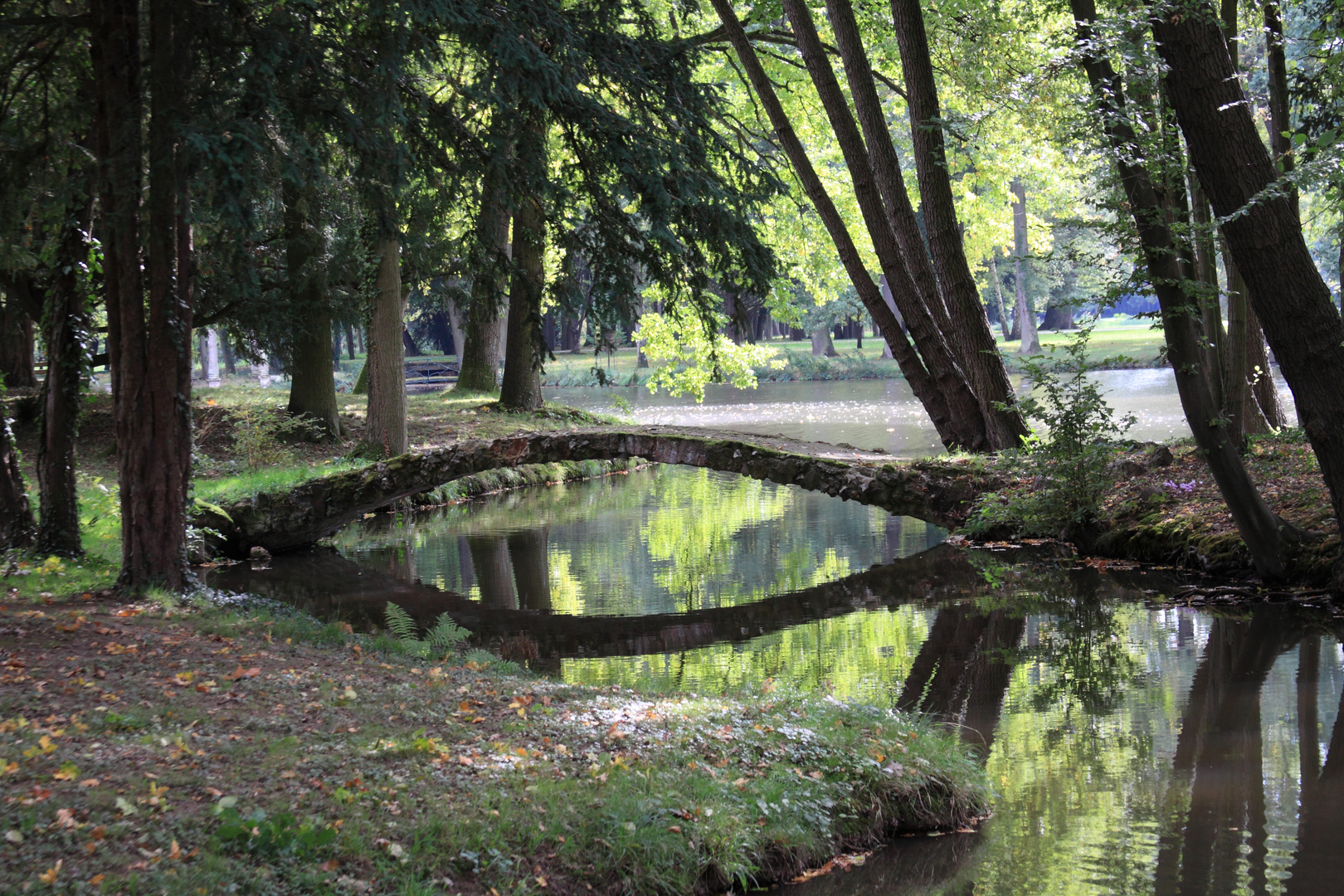 Bennwihr, Parc de Schoppenwihr, Brücke zum Grand Étang