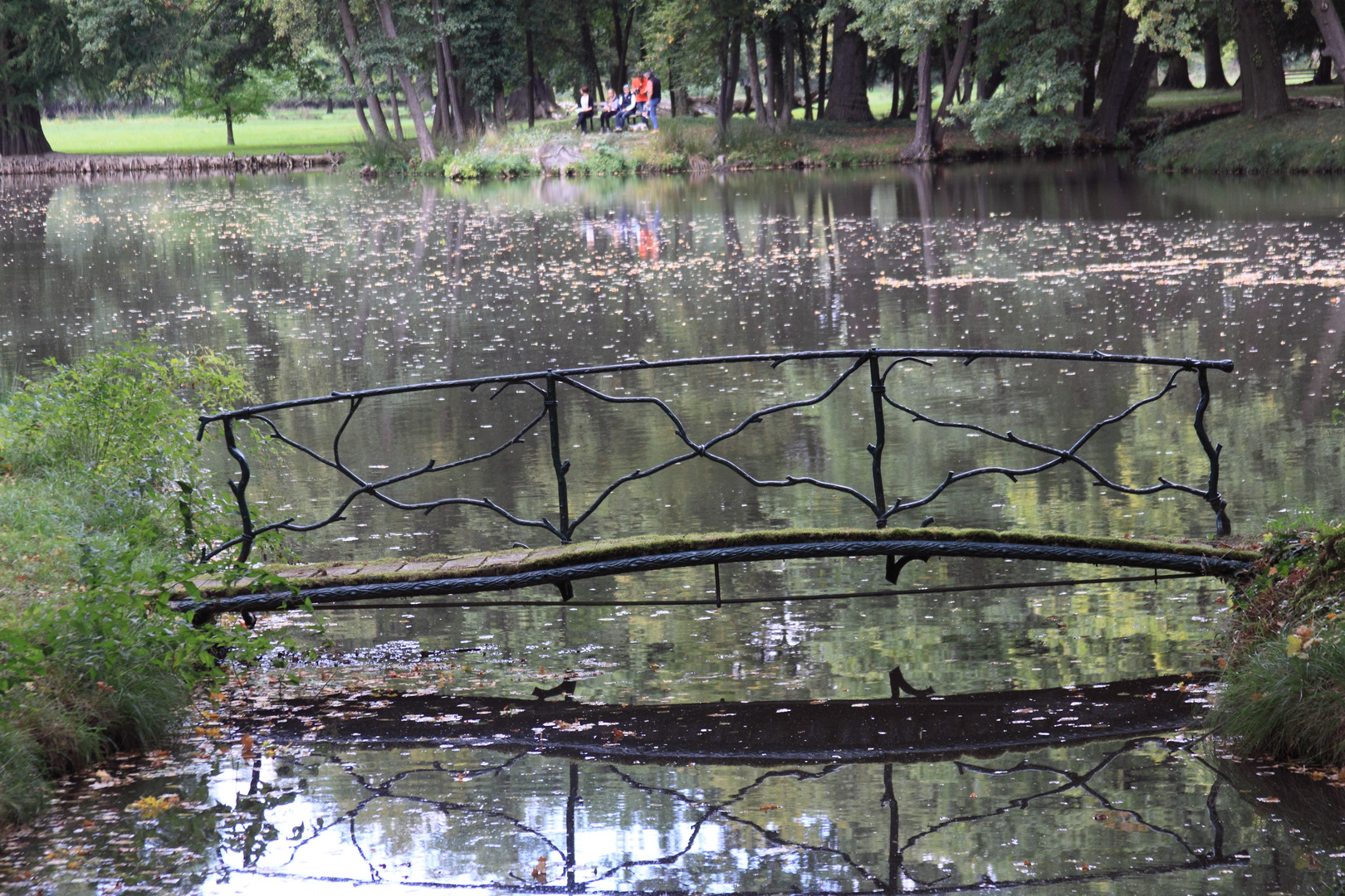 Bennwihr, Parc de Schoppenwihr, Brücke zur Ile de Demoiselles