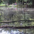 Bennwihr, Parc de Schoppenwihr, Brücke zur Ile de Demoiselles