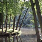 Bennwihr, Parc de Schoppenwihr, östl. Weiher, (3)