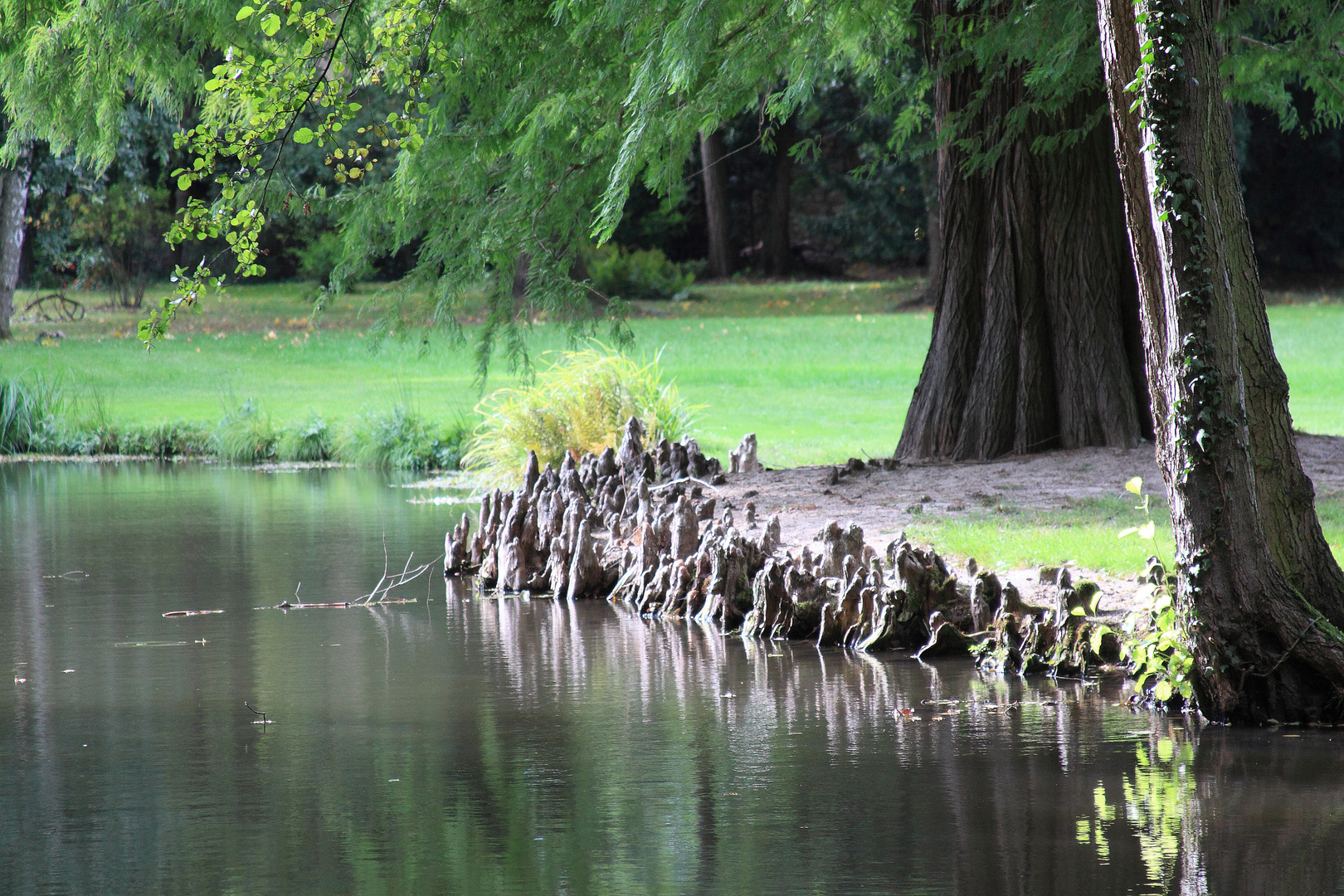 Bennwihr, Parc du Schoppenwihr, Aussichtspunkt "Grand Etang"