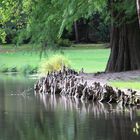 Bennwihr, Parc du Schoppenwihr, Aussichtspunkt "Grand Etang"