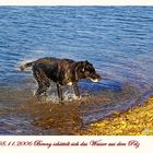 Benny schüttelt sich das Wasser aus dem Pelz